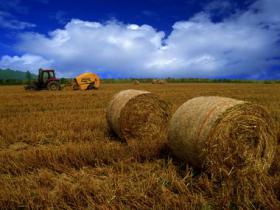 安徽蚌埠市五河生物質熱電1號機組并網發電