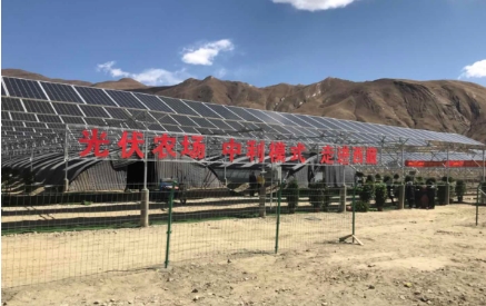 西藏首個貧困村光伏農場建成