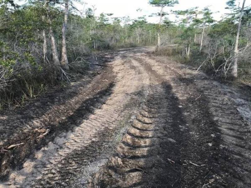 佛羅里達(dá)州將禁止在大柏樹國家保護(hù)區(qū)內(nèi)勘探石油