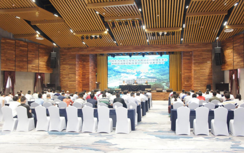 水電站運(yùn)行管理、梯級(jí)調(diào)度控制專委會(huì)聯(lián)合召開(kāi)2018年學(xué)術(shù)交流會(huì)
