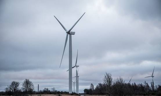 強風使愛沙尼亞風電場滿負荷運轉，電力市場價格也受影響