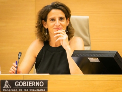 今年年底之前將制定一部關于氣候變化和能源轉型的法律