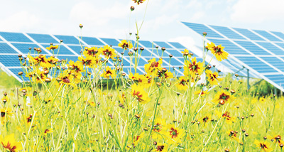 青海打造“水光互補”樣本工程