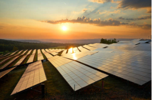 阿達尼綠色能源公司表示，300兆瓦項目的太陽能招標已被取消