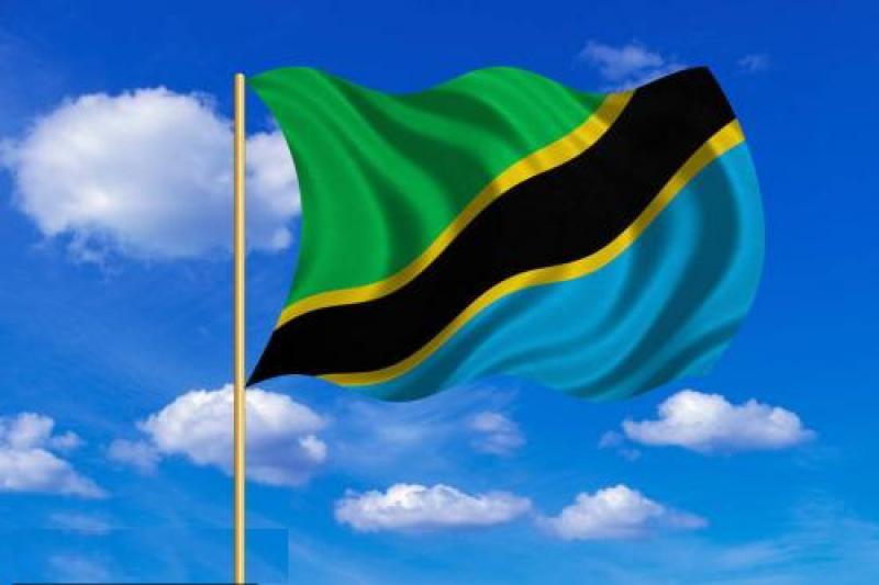 坦桑尼亞能源概況：風能及面臨的技術挑戰