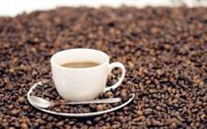 英開發微生物燃料電池 可將咖啡廢料轉化為電能