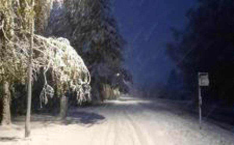 愛沙尼亞南部地區受暴風雪影響，致數萬家庭無電