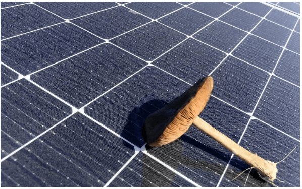 房地產集團在加州規(guī)劃700兆瓦太陽能園區(qū)與電池儲能項目